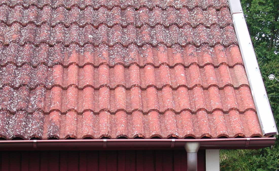 Rent tak - Vi är proffs på papptak och plåtslageriarbeten, sedumak, papptak tätskikt takläggare takpapp pvc-duk